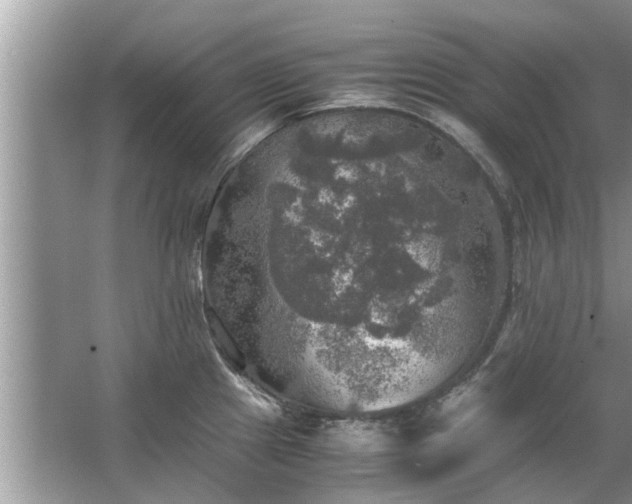 X0000063461241200601231410