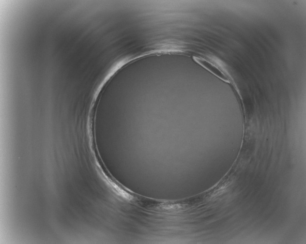 X0000063461243200601231410