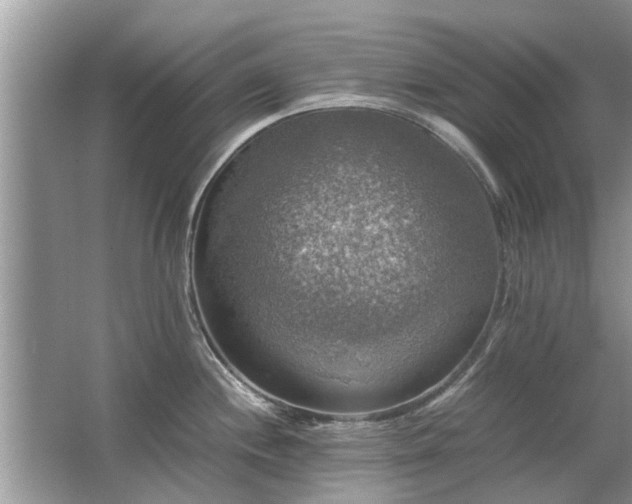 X0000063461244200601231410