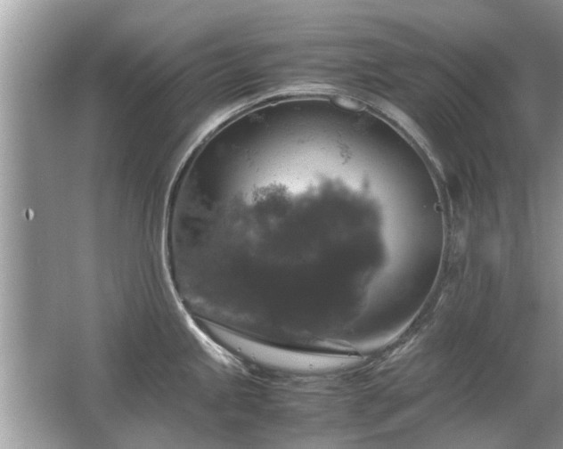 X0000063461245200601231410