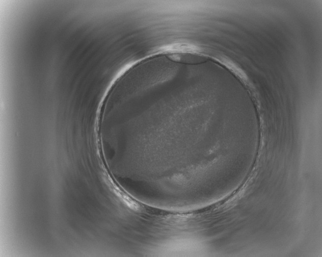 X0000063461248200601231410