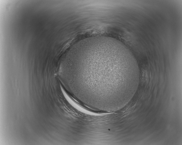 X0000063461250200601231409