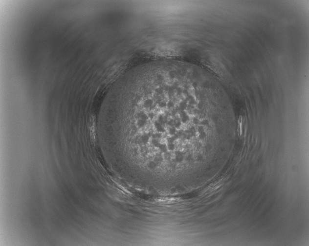 X0000063461251200601231409