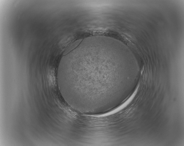 X0000063461252200601231409