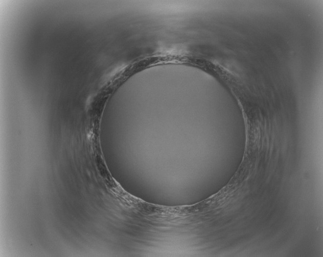 X0000063461254200601231409