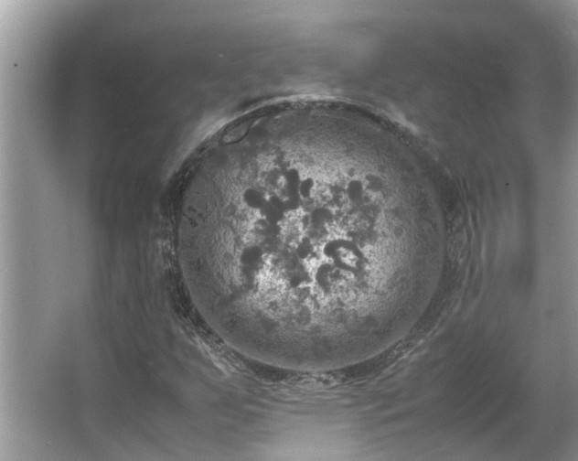 X0000063461255200601231409