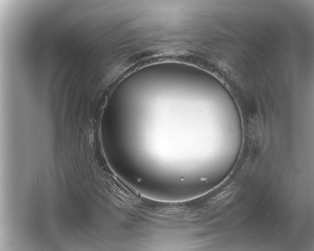 X0000063461257200601231409