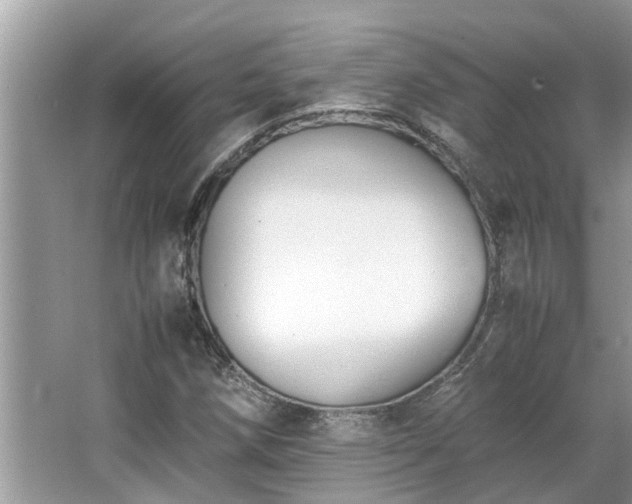 X0000063461258200601231409