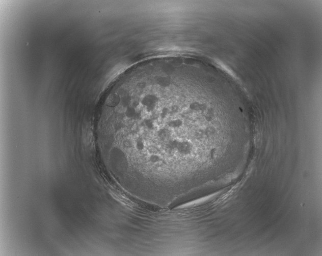 X0000063461259200601231409