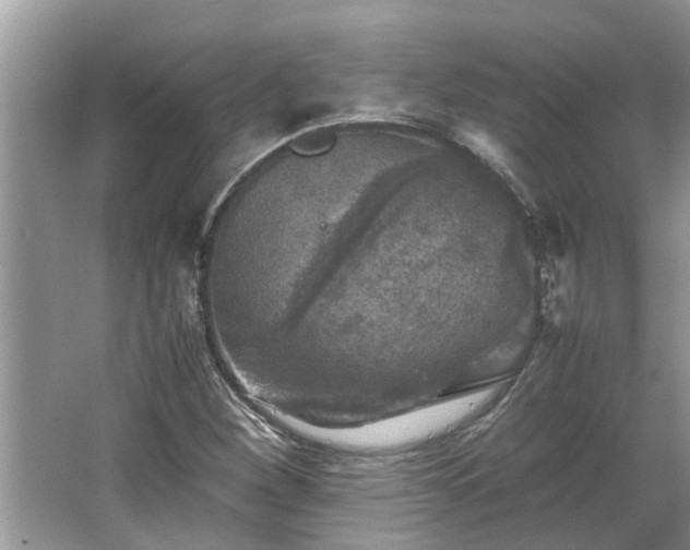 X0000063461260200601231409