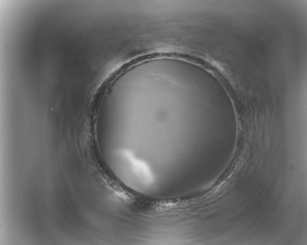 X0000063461263200601231409