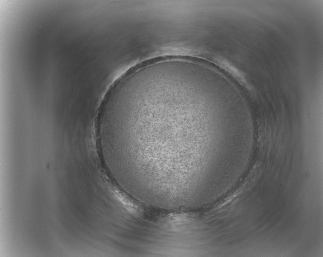 X0000063461264200601231409