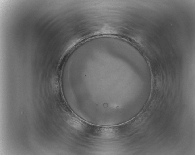 X0000063461266200601231409