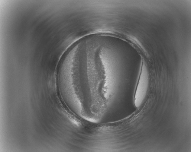 X0000063461268200601231409