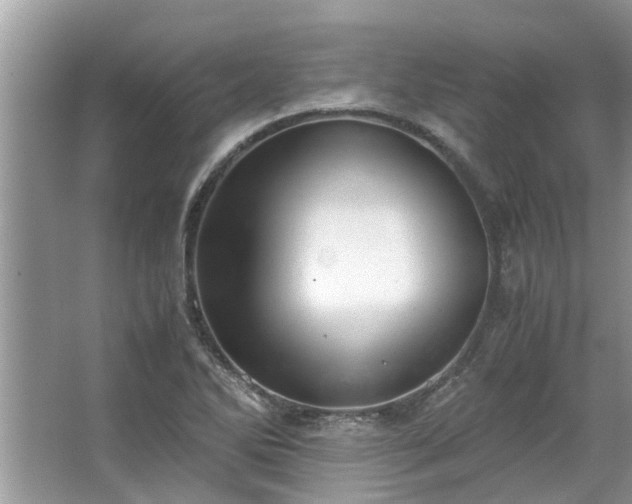 X0000063461270200601231409