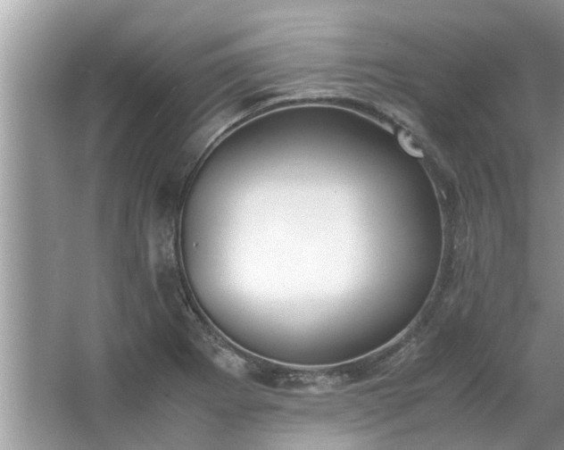 X0000063461273200601231409