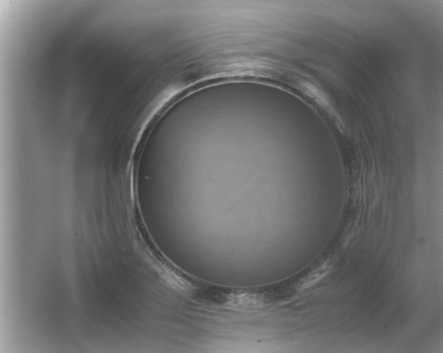 X0000063461275200601231409