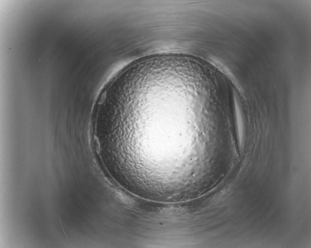 X0000063461277200601231408