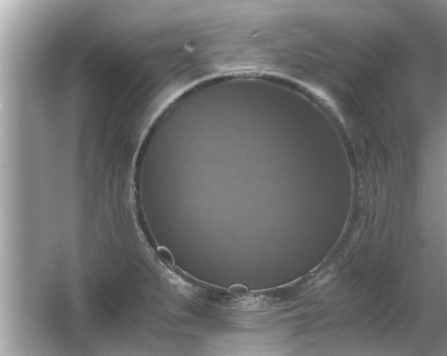 X0000063461279200601231408