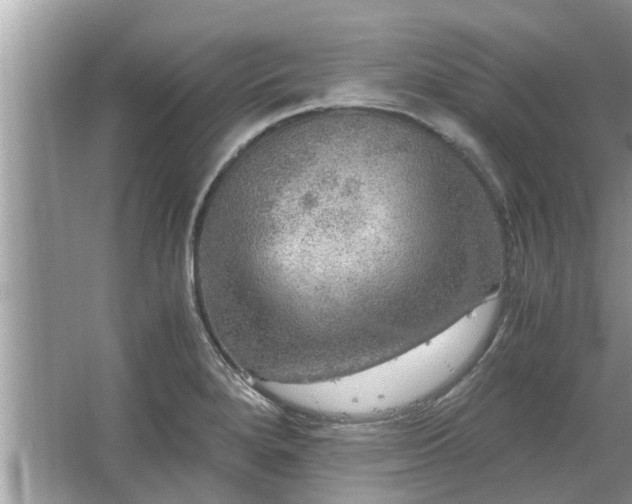 X0000063461280200601231408