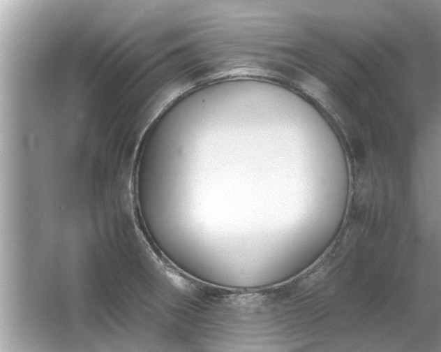 X0000063461282200601231408