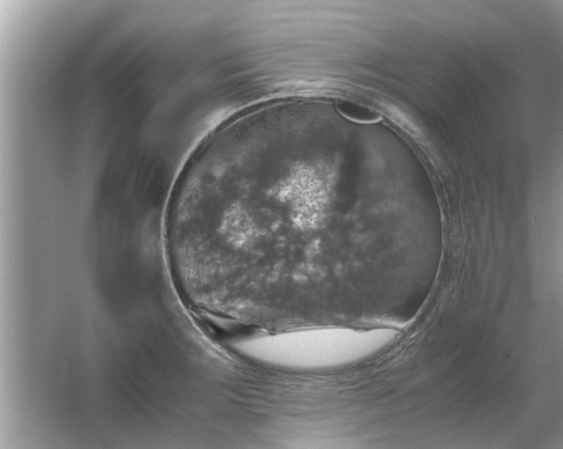 X0000063461283200601231408