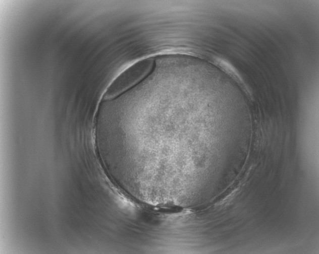 X0000063461284200601231408