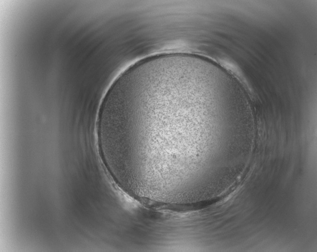 X0000063461288200601231408