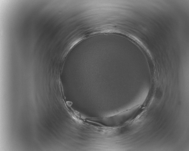 X0000063461289200601231408