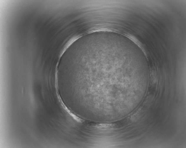 X0000063461290200601231408