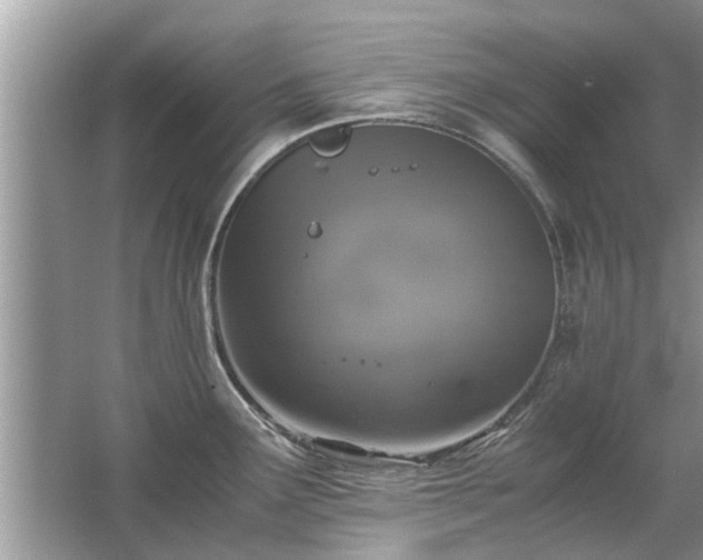 X0000063461291200601231408