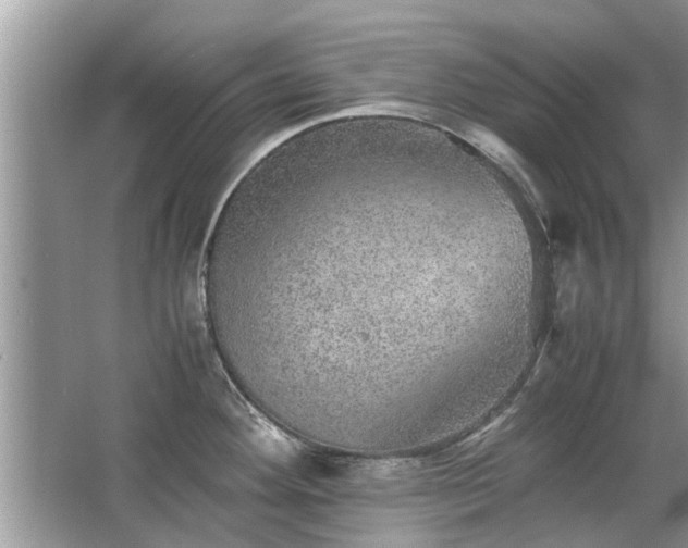 X0000063461292200601231408