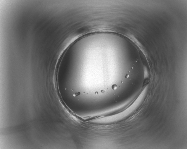 X0000063461293200601231408