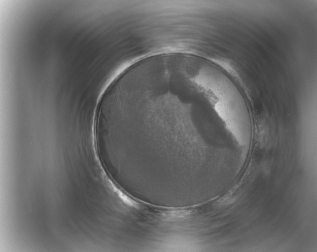 X0000063461294200601231408