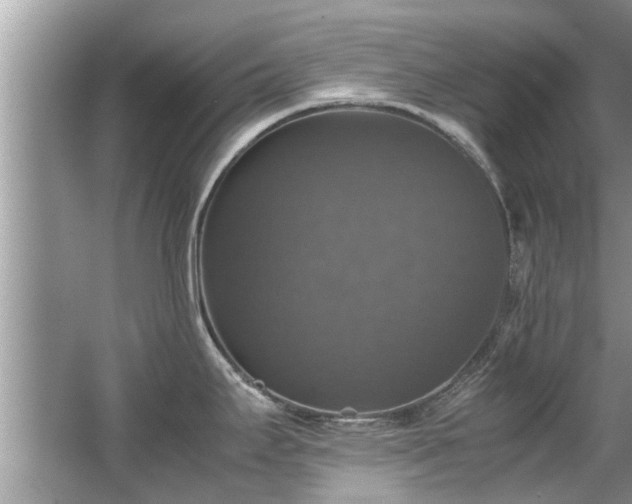 X0000063461295200601231408