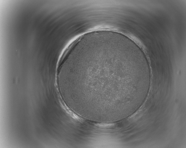 X0000063461296200601231408