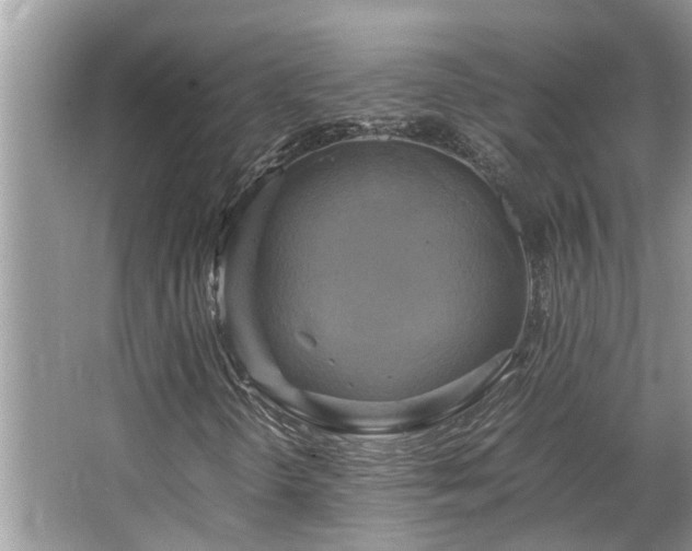 X0000063461298200601231407