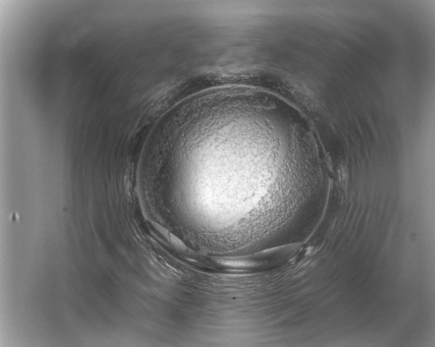 X0000063461300200601231407