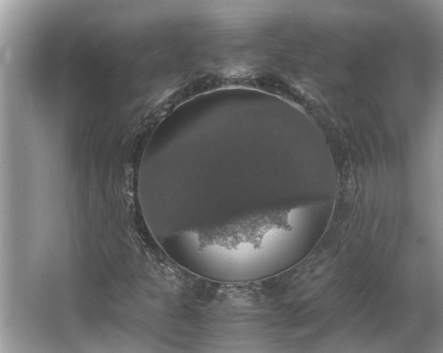 X0000063461301200601231407