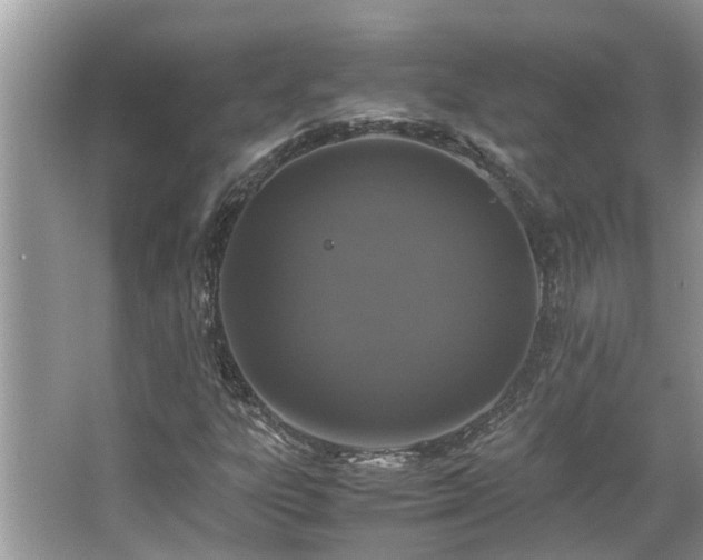 X0000063461303200601231407