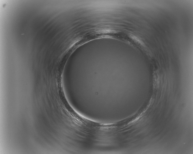 X0000063461305200601231407