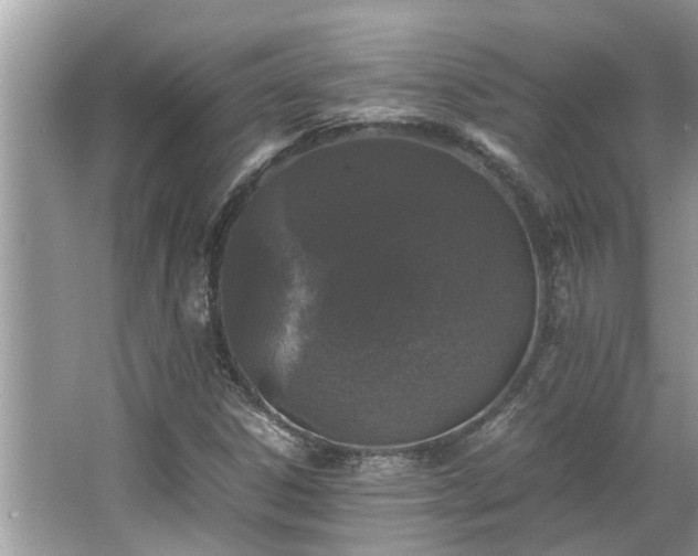 X0000063461306200601231408