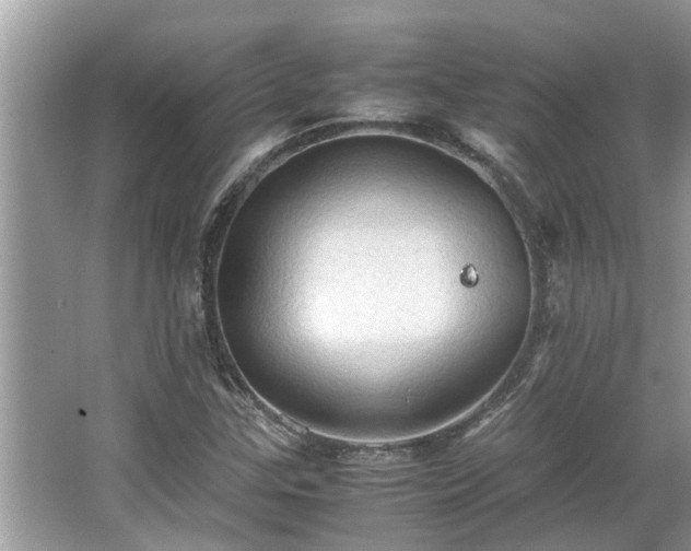 X0000063461307200601231408