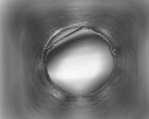 X0000063461308200601231408