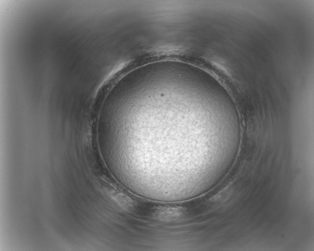 X0000063461309200601231408