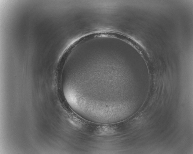 X0000063461311200601231408