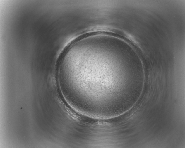 X0000063461312200601231408