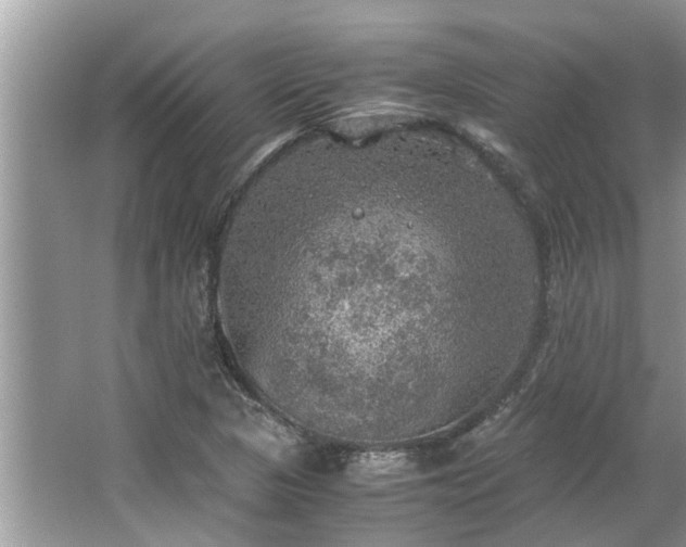 X0000063461313200601231408