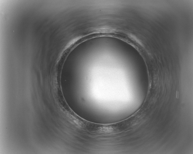 X0000063461315200601231408