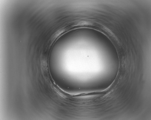 X0000063461321200601231408